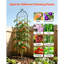 Treillis de jardin, treillis rose de 87 po x 20 po, treillis de fleurs de jardin avec finition thermolaquée et conception verrouillable pratique, treillis de soutien pour plantes pour fleurs, légumes et roses-536642914