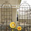 Ensemble de 4 treillis de jardin en métal antirouille de 19,7 po pour plantes grimpantes-115361844-115361845