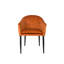 Catelyn Armchair-581810545