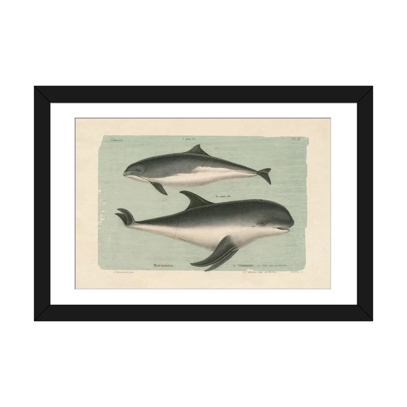 Art sur toile tendue, "baleineing sketch i", Toile tendue, Blanc, H 16 po x l 24 po x P 1 po