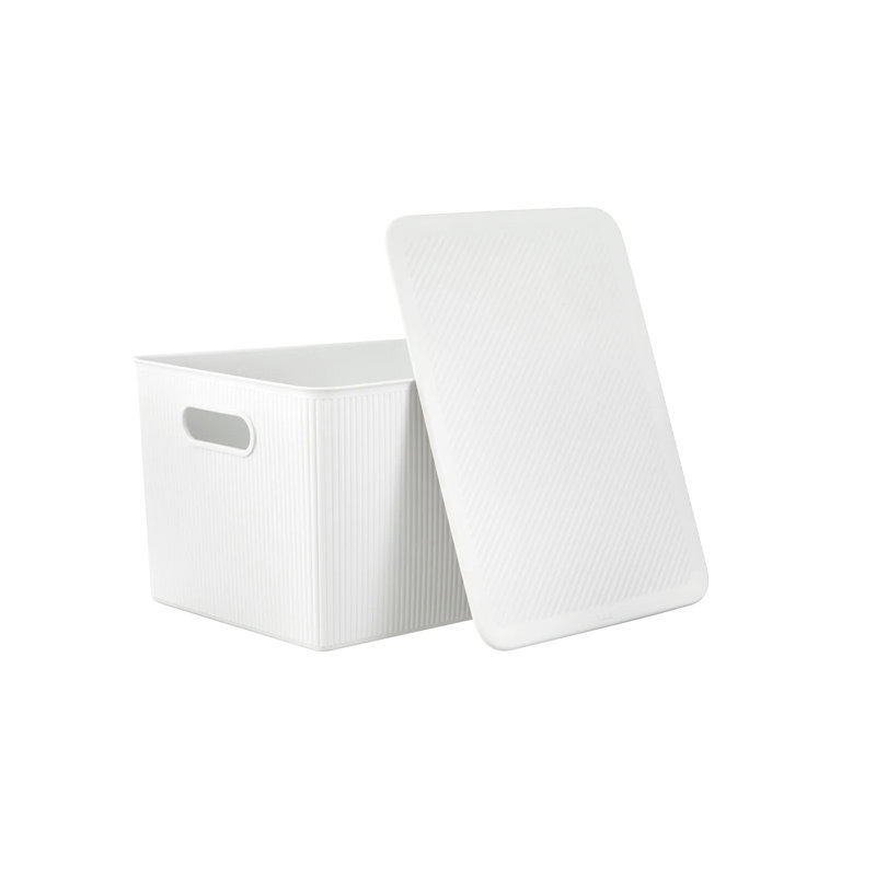 Storage Bin with Matching Lid, White