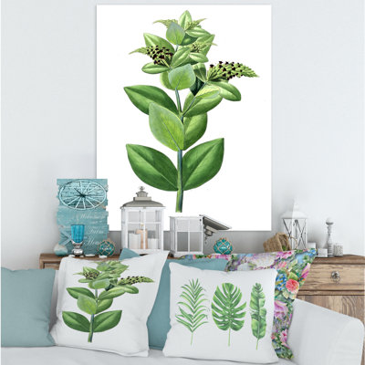 " Leaves Plants VI "
