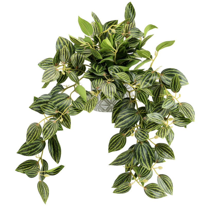 Artificial Plant