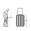 Statue Bather Venus par Allegrain
