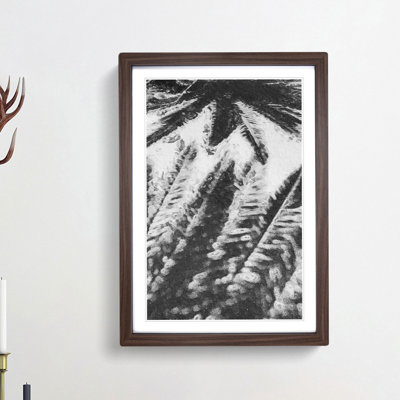 Palm Tree Shadows - Framed Print