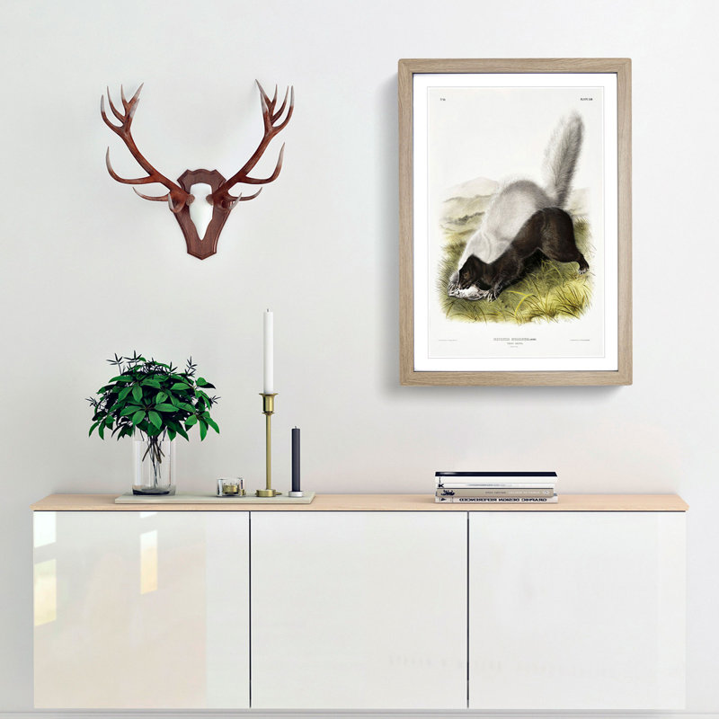 Texan Skunk by J.W. Audubon - Framed Print, 65cm H x 48cm W x 2cm D, Oak Framed