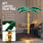 Jaal LED Lighted Trees & Branches-1427863981