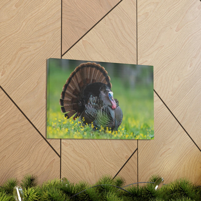 No Frame Print on Canvas, 30.48cm H x 45.72cm W