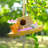 Decorative Straw Hat Bird House
