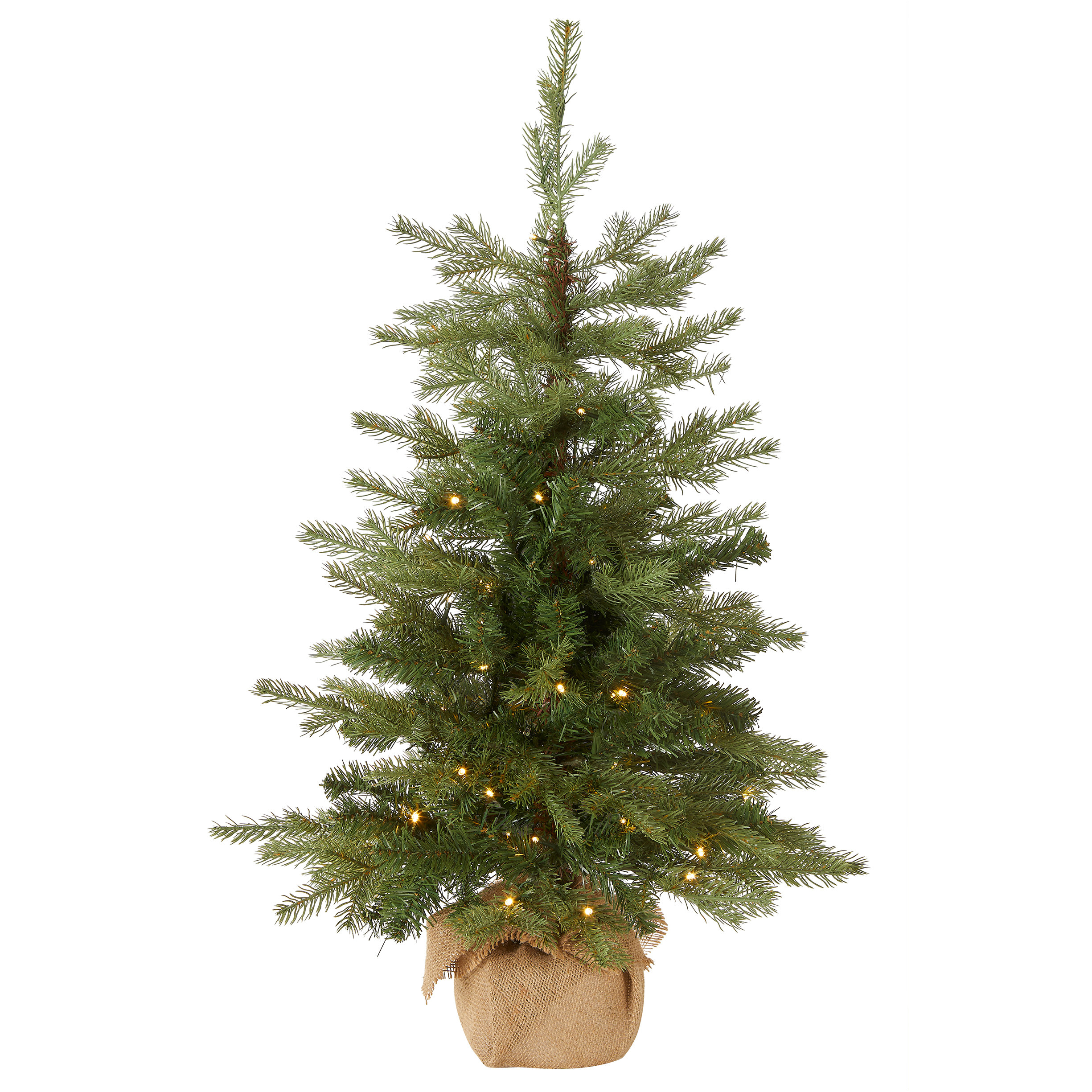 Sand & Stable Belson 3' Lighted Spruce Christmas Tree & Reviews | Wayfair