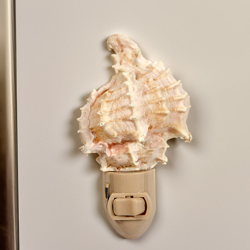 Murex Seashell LED Night Light