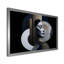 Oghosa IV - Fashion Wall Art-1862631472-1638018146-1862631473