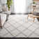 Dubay Shag Performance Geometric Rug