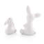 Grès lapin mère et fils sel et poivre