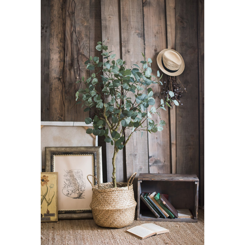Faux Eucalyptus Tree in Pot Liner, 5.1" H x 31.5" W x 5.9" D
