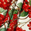 Tapisserie murale «Fruit Arbutus Berry»-133643605