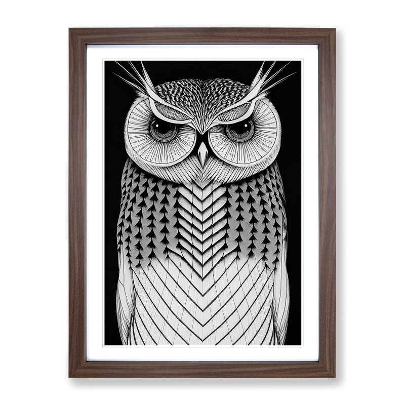 Owl in Monochrome No.4 - Framed Print, 34cm H x 25cm W x 2cm D, Walnut