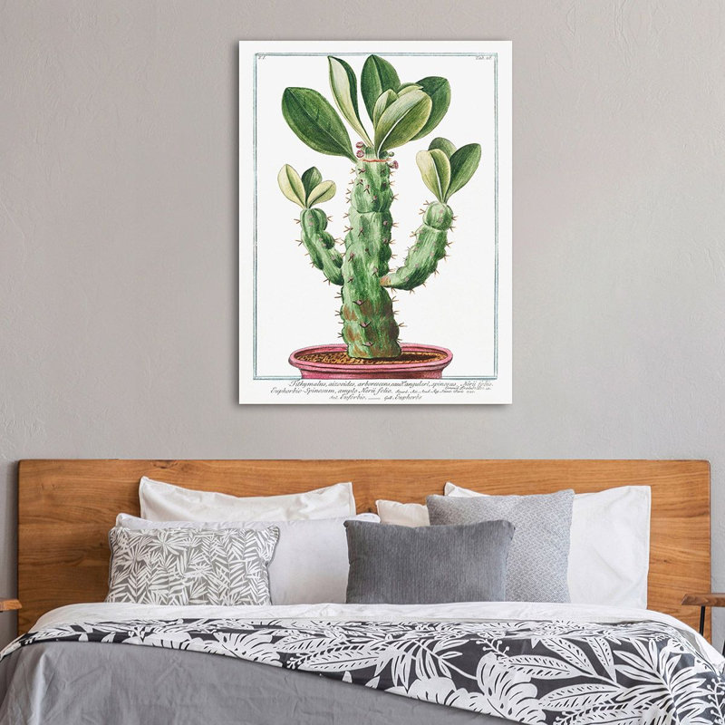 Euphorbio-Spinosum 1 Piece Wrapped Canvas Painting, 80cm H x 60cm W x 4cm D