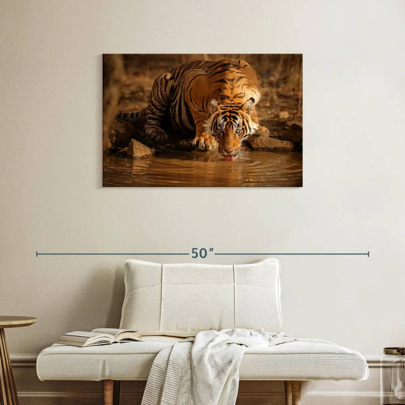 Brampt Drinking Wild Tiger, 24" H x 36" W