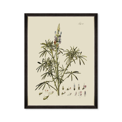 BOTANICAL VI