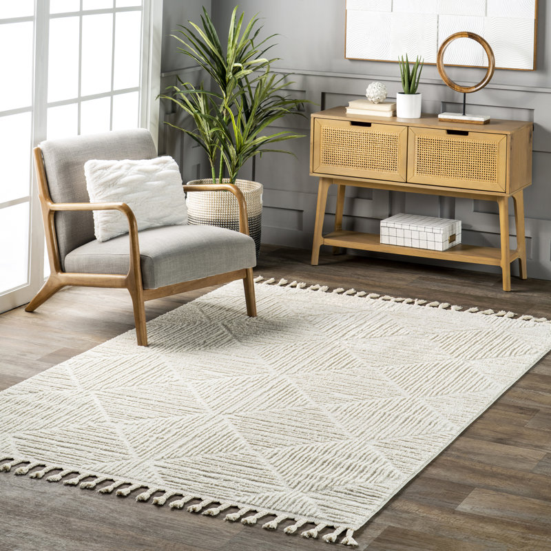Kerry Textured Geometric Tasseled Area Rug, Rectangle 2' x 3'