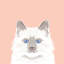 « chat », impression sur toile tendue-74755638-74755637-19741632