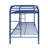 Kimbolton Kids-29297974
