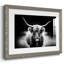 Reproduction photographique Highland C Best-1851836244-1851836246