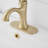 Single-handle Bathroom Faucet with Drain Assembly-98155042