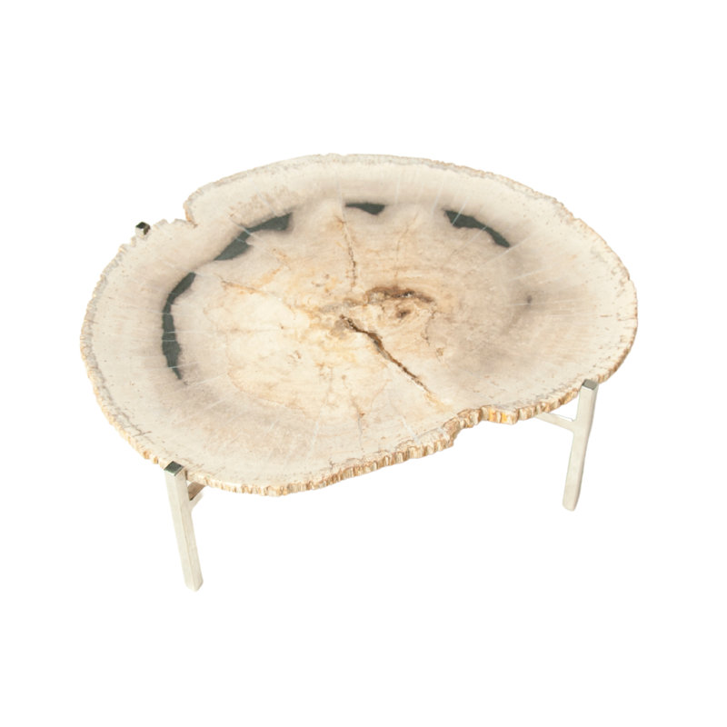 Petrified Wood Platter