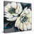 " Peonies "-894566647-894566654
