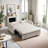 Sleeper Sofa Bed