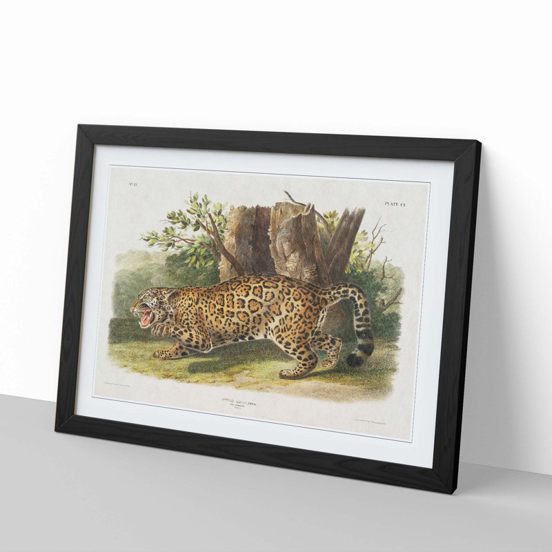Jaguar by J.W. Audubon - Framed Print, 48cm H x 65cm W x 2cm D, Black Framed