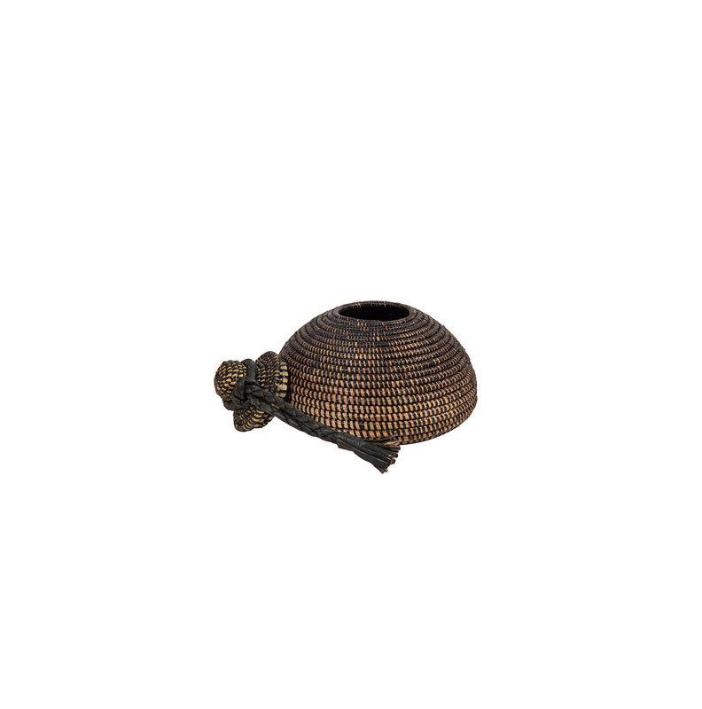 Panier Tolani, Brun