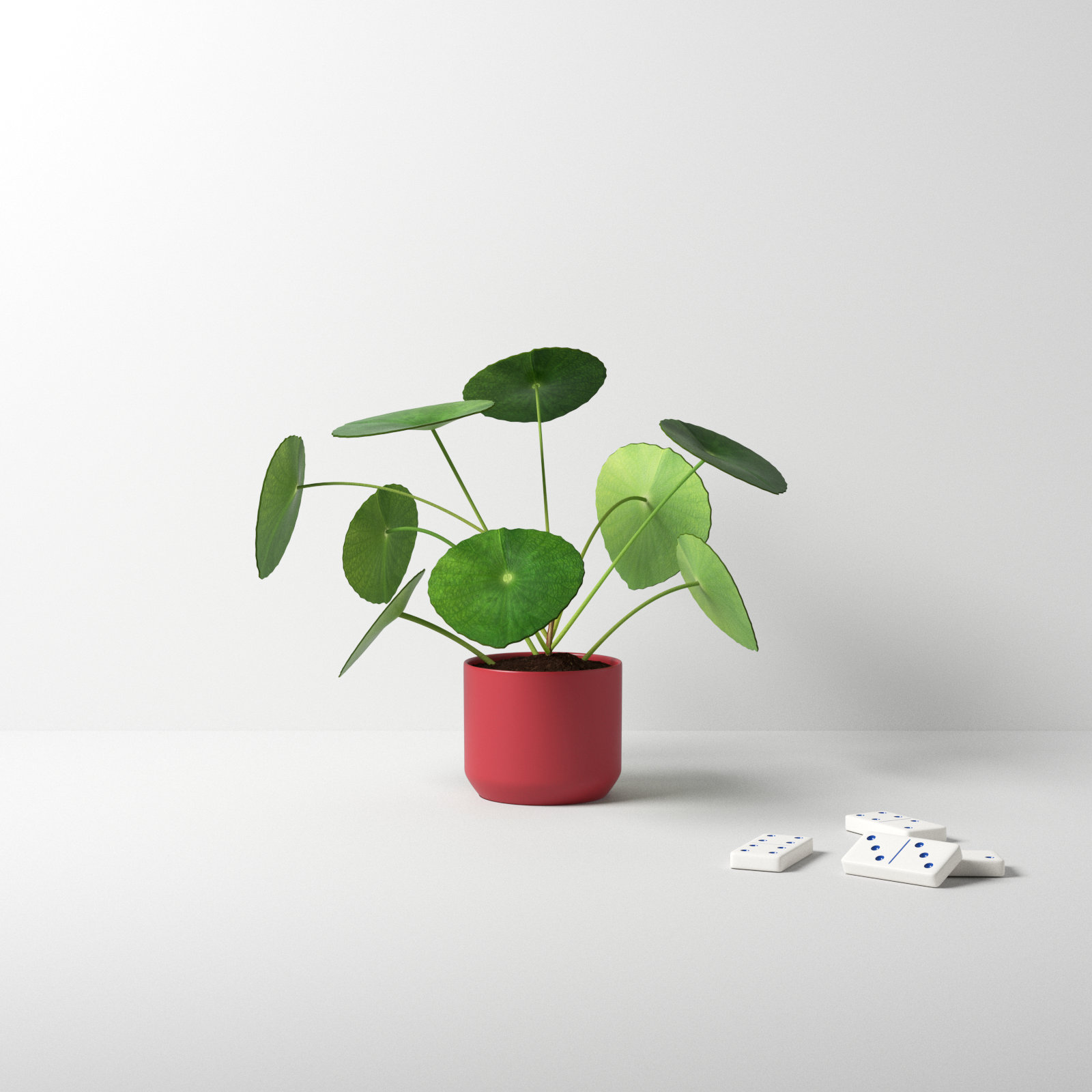 Aubry Ceramic Pot Planter