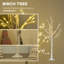 Lighted Trees & Branches