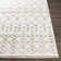 Southwestern Indoor Rug