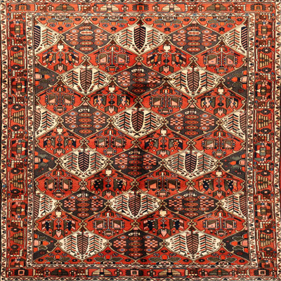 Southwestern Indoor Rug