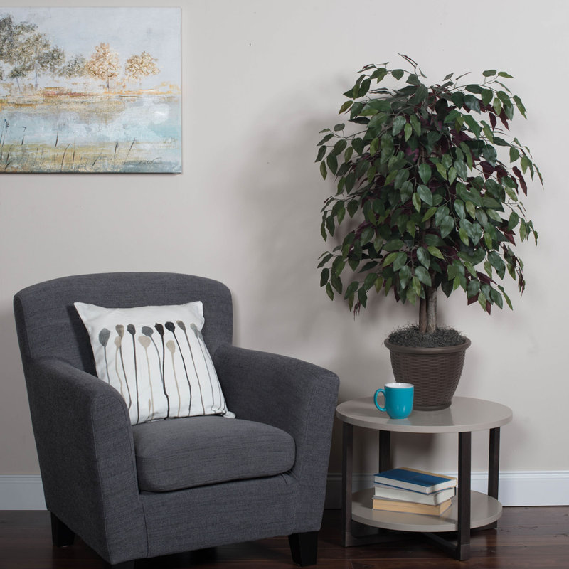 Arbre en pot artificiel de luxe Capensia, Brun