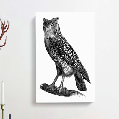 Egyptian Owl Illustration - Wrapped Canvas