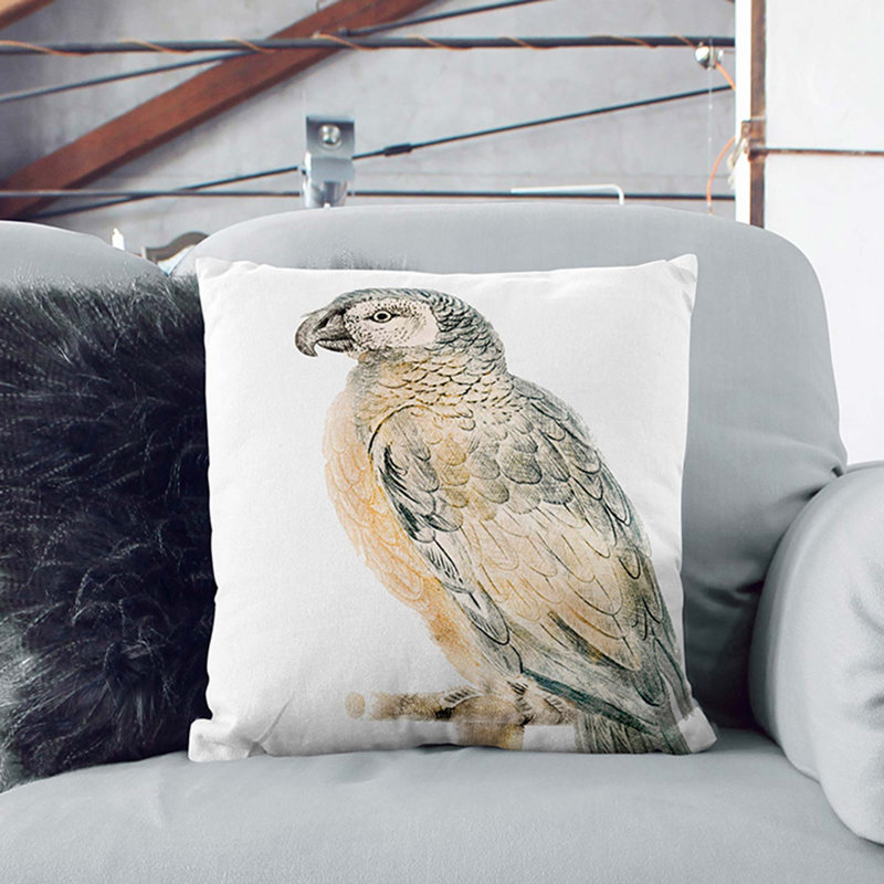 Perched Parrot by Johan Teyler Cushion with Filling, 40cm H x 40cm W x 15cm D, Black