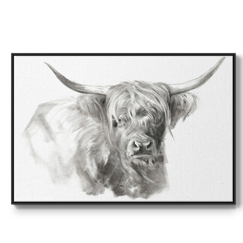 "Soft Focus Highland Catt I", reproduction d'art sur toile, H 27 po x l 41 po x P 2 po, Noir