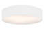 Parvin Flush Mount-1220517389