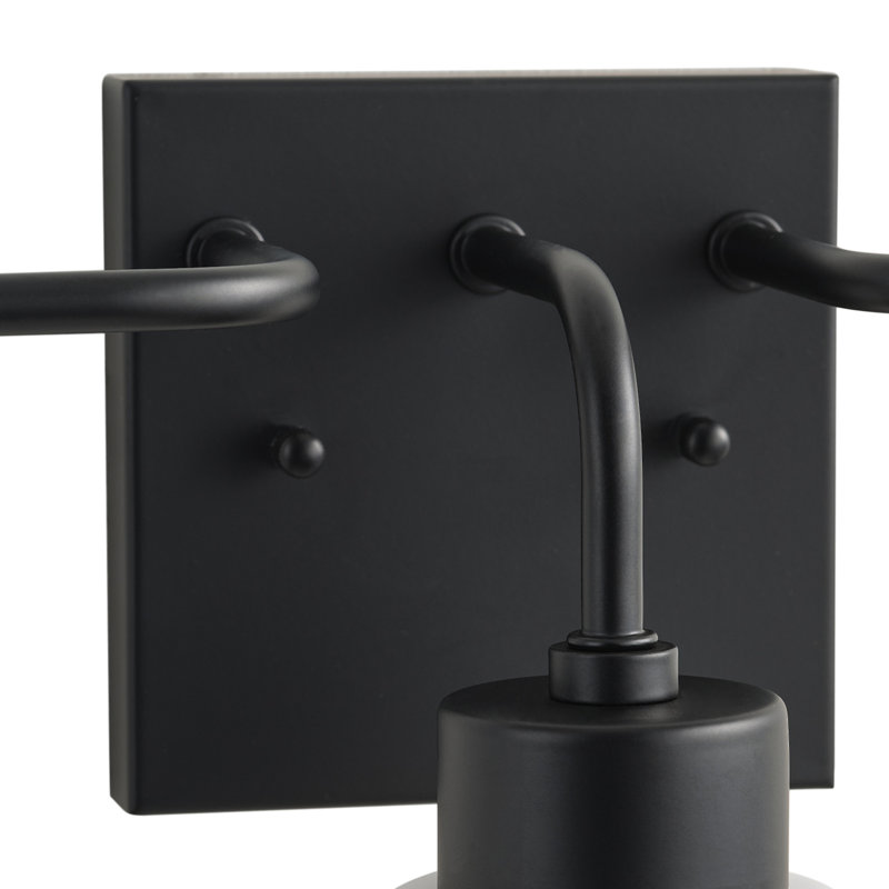 3-Lamp Black White Adjustable Glass Vanity Light