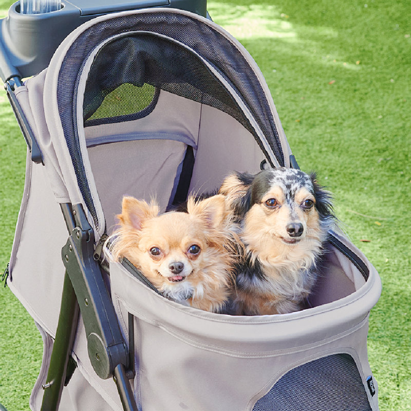 Poussette pour animaux Easy pliable
