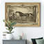 Distinguished Horses IV - reproduction d'art sur toile encadrée-1946686342-1946686336