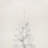 90' Christmas Tree