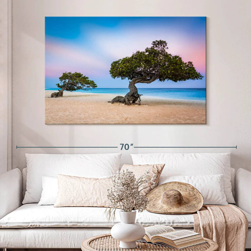 Harnek Divi Divi Trees, H 34 po x l 51 po