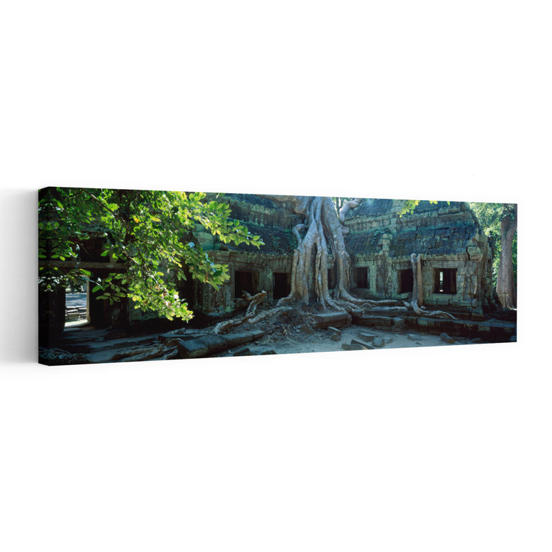 Temple Wat Wat de Ta-Prohm, Cambodge, art contemporain abstrait, arbre, art mural, H 12 po x l 36 po