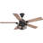 Greer 54'' Ceiling Fan with Light Kit